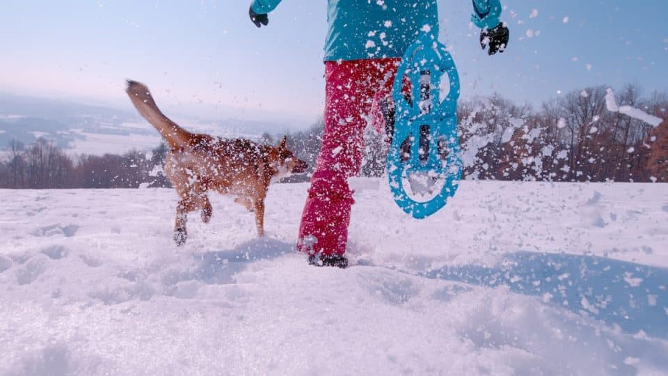 Woman snowshoes with dog by her side