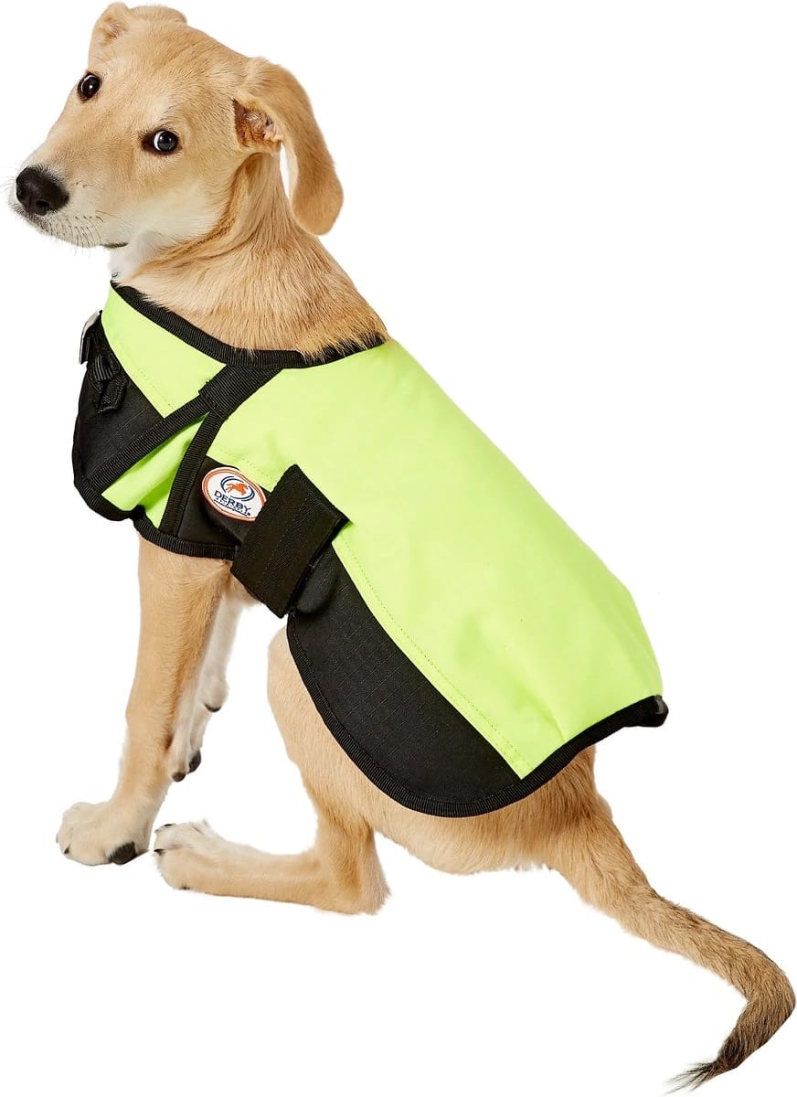 Warm waterproof dog blanket coat