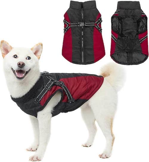 Luxury Red Dog Harness - Designer Dog Clothes