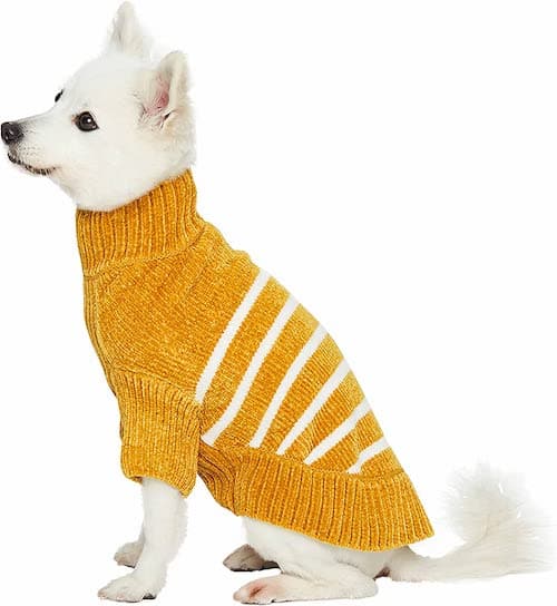 The Best Dog Clothes to Keep Your Pup Warm This Winter