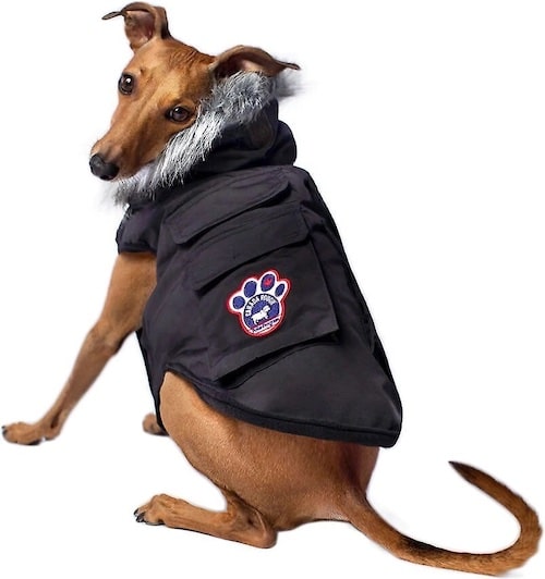 winter dog coat with pockets