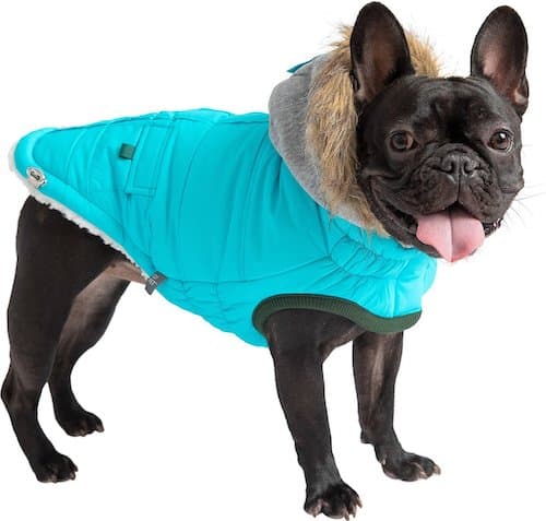 best coat for puppies