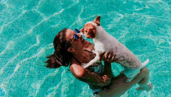 happy young woman and dog in a pool having fun. Summer time