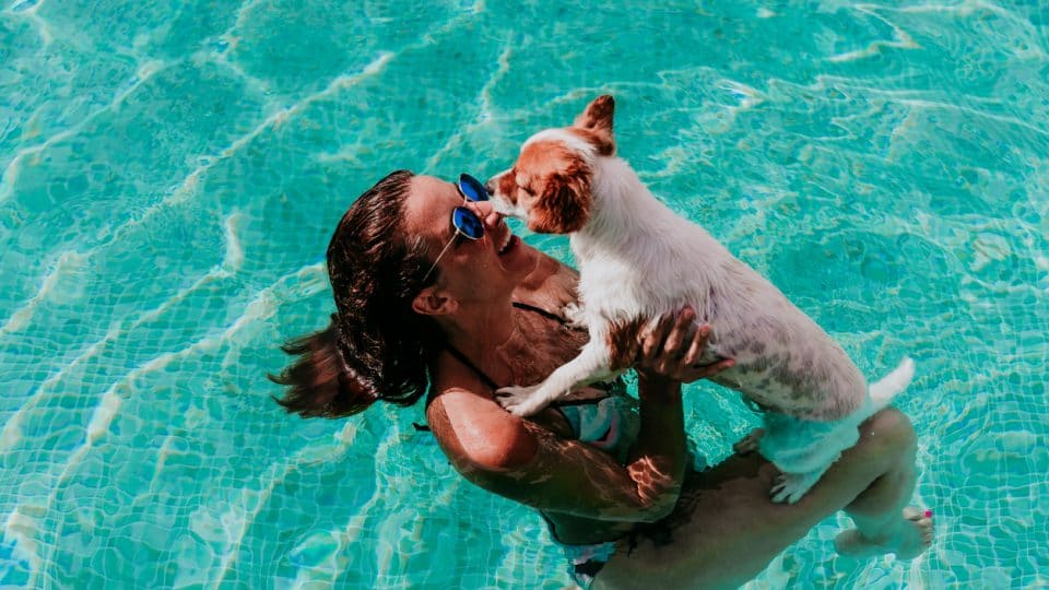 happy young woman and dog in a pool having fun. Summer time