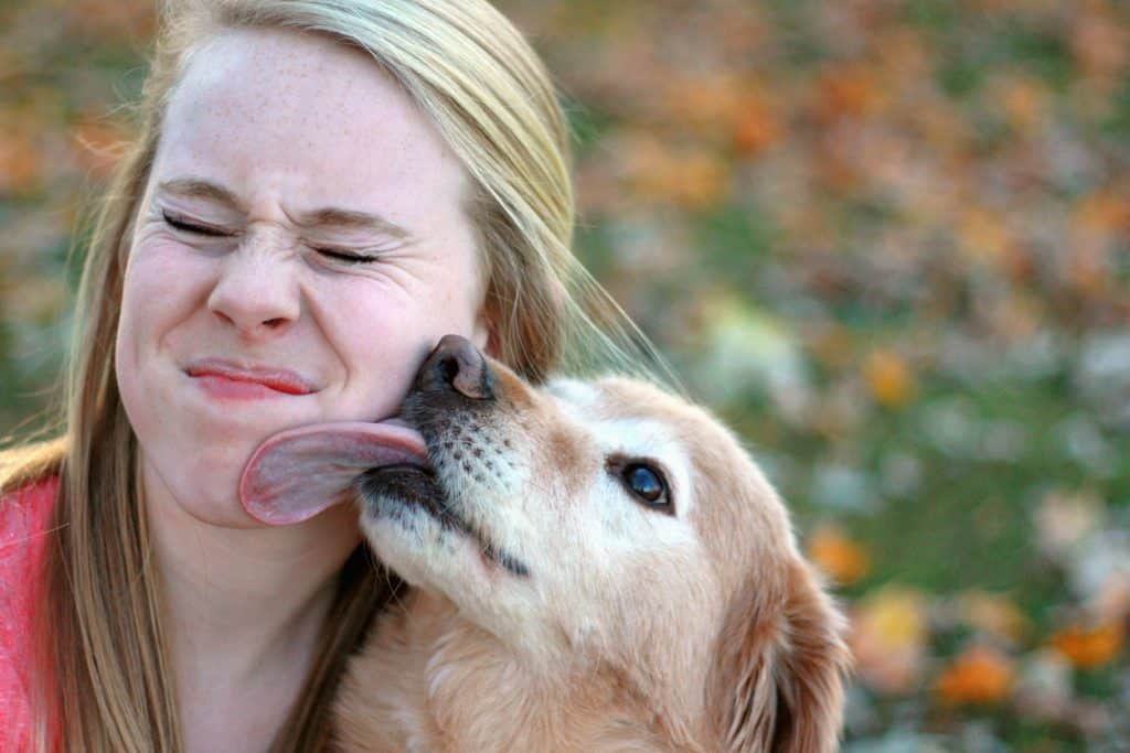 Outdoors close up Picture showing a woman being licked on her face by an enthusiastic and affectional dog