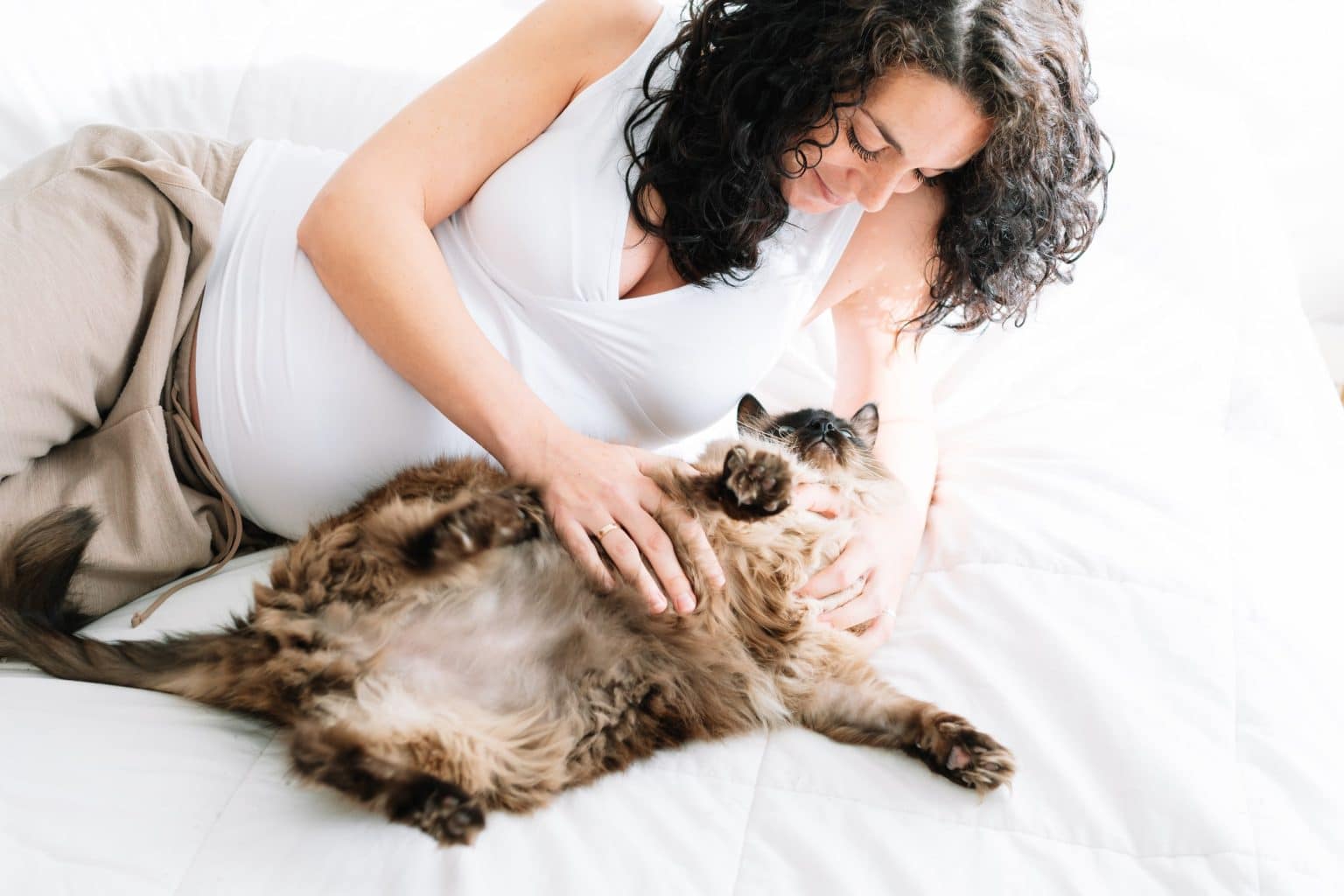 Les chats mâles ontils des mamelons ? Nous vous expliquons tout