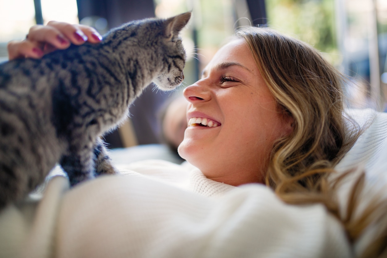 Do Cats Really Laugh? The Truth About Your Cat's Sense of Humor