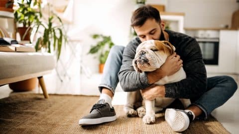 Person sitting on floor cuddles bulldog