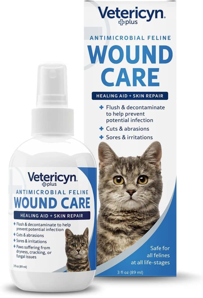 How To Relieve Gas In Cats Wound Care for Cats: Cleaning, Healing Tips & More