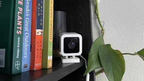 Pet camera sitting on shelf with books and houseplant