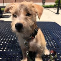 Sitter Profile Image: Karrie c.