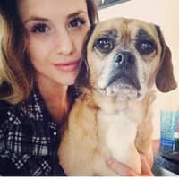 Sitter Profile Image: Laura v.