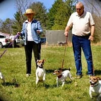 Sitter Profile Image: Debbie C.