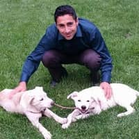 Sitter Profile Image: sean m.