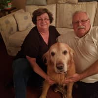 Sitter Profile Image: Bob R.