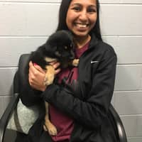 Sitter Profile Image: Krystin P.