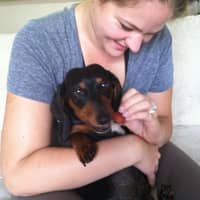 Sitter Profile Image: Katie & Edward V.