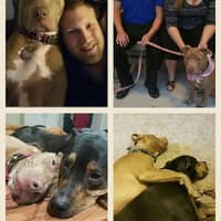 Sitter Profile Image: ROBERT W.