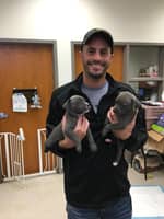 Sitter Profile Image: Dan D.