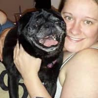 Sitter Profile Image: Renee C.