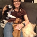 Top Dog Boarding Hosts In Tigard Or Pet Sitting From Dogvacay