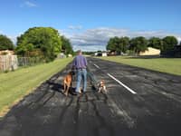 Sitter Profile Image: Charlie and Madeleine M.