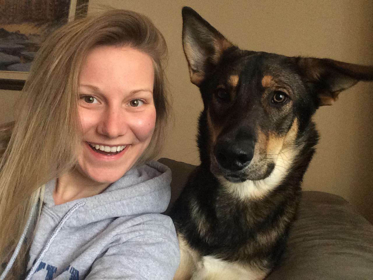 cat sitter north york