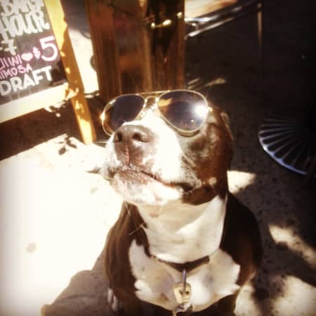 Sitter Profile Image: Nicholas C.