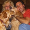 Top Dog Daycare In Delray Beach Fl Dogvacay