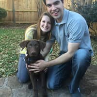 Sitter Profile Image: Nathan F.