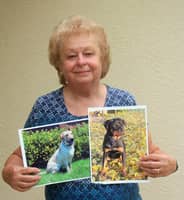 Sitter Profile Image: Donna P.