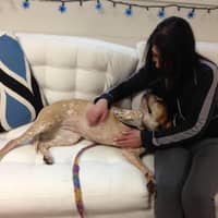 Sitter Profile Image: Annie R.