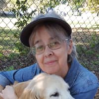 Sitter Profile Image: Julie W.