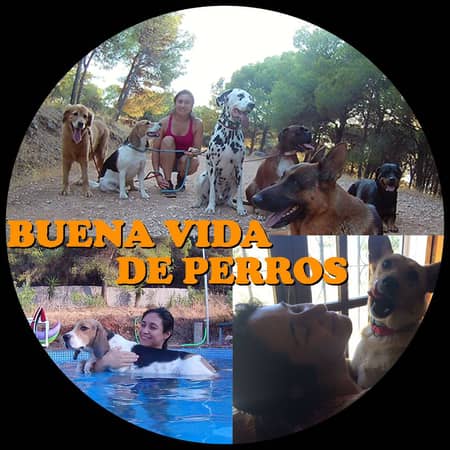 Foto de perfil del cuidador: Magy L.