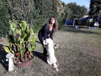 Photo de profil du pet sitter : sophie f.
