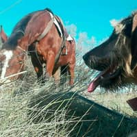 Foto del cuidador: Marcos P.