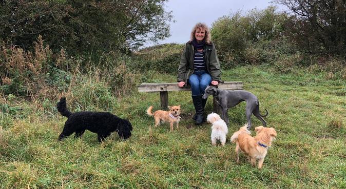 dog daycare for small dogs