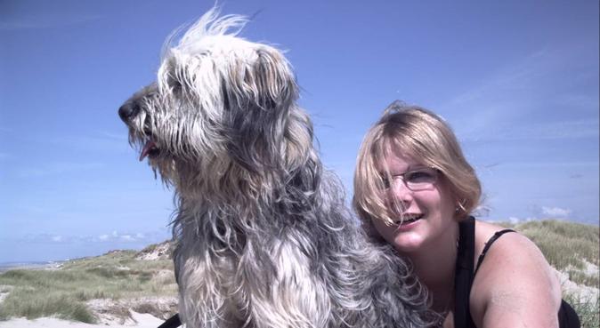 Garde De Chiens A Lille Dogbuddy