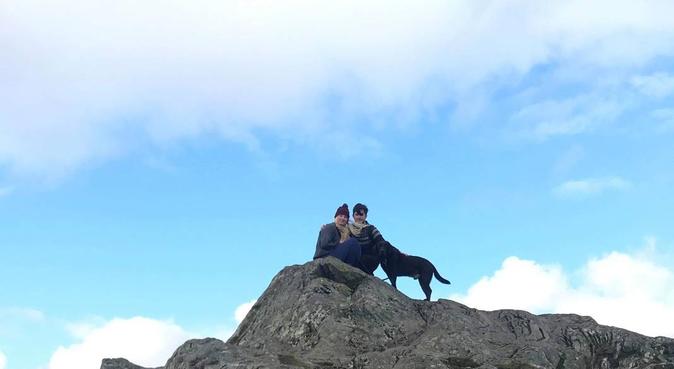 jeannie's doggy daycare