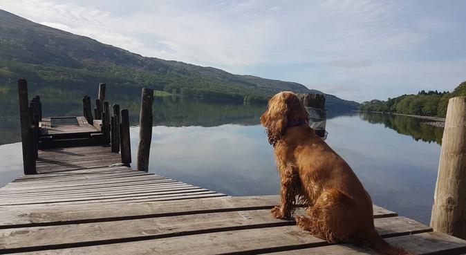 dog day care didsbury