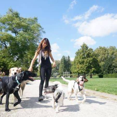 Sitter Profile Image: Rose C.