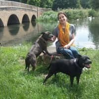 Sitter Profile Image: Elsa F.