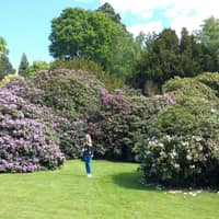 Sitter Profile Image: Hannah K.