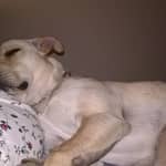 Sitter Profile Image: Rita C.