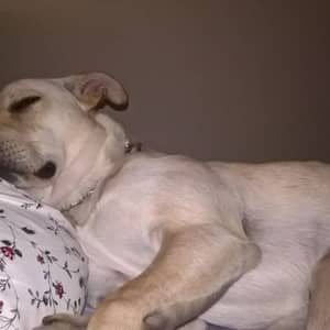 Sitter Profile Image: Rita C.