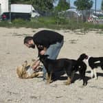 Sitter Profile Image: Vicent P.