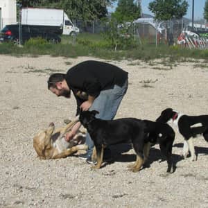 Sitter Profile Image: Vicent P.