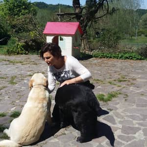 Daniela A.