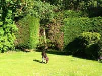 Sitter Profile Image: Tania A.