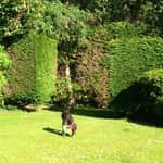 Sitter Profile Image: Tania A.